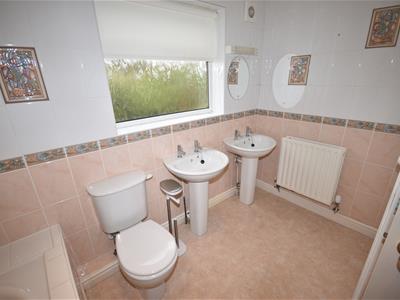 Picture 17